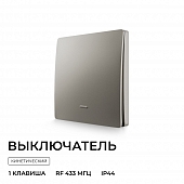 Выключатель  04-78 