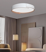 Потолочный светильник  F0724-31 