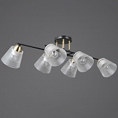 Потолочная люстра  IL0845-6CSQ-25BKAB ELITE 