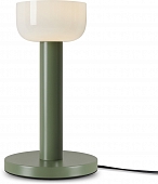 Интерьерная настольная лампа Barries FR6185TL-L5GN 