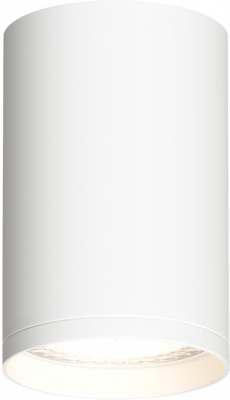 Точечный светильник TUBE DK2050-WH