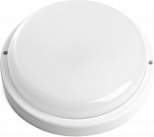 Потолочный светильник  48563 