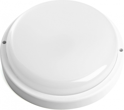 Потолочный светильник  48563