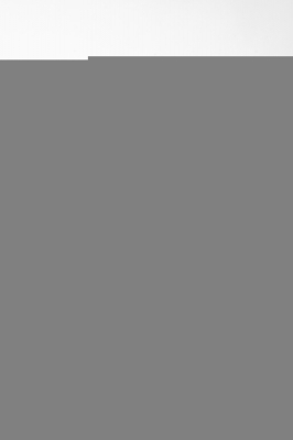 Наземный фонарь  15904S Gb