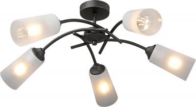 Потолочная люстра  V2850-1/5PL