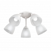 Потолочная люстра  V3737-0/5PL 