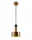 Подвесной светильник Goldy V11319-1P 