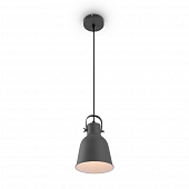 Подвесной светильник Twist FR4035PL-01GR 