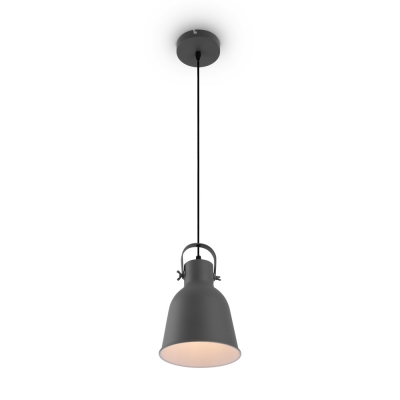 Подвесной светильник Twist FR4035PL-01GR