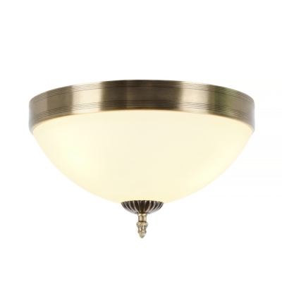 Потолочный светильник Biene MR1527-3C