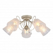 Потолочная люстра Orune OML-53007-05 