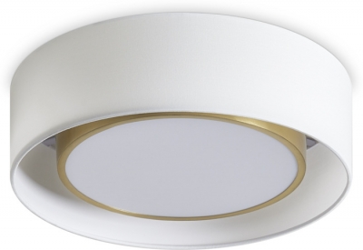 Потолочный светильник Cozy FR6170CL-L52BS