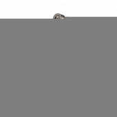 Бра Braccio A2054AP-1SS 