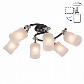 Потолочная люстра Сиерра CL119261 