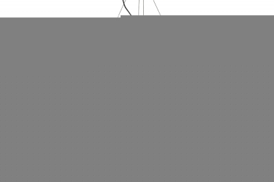 Подвесная люстра  86-8068/1200S