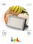 Светильник для растений  FITO-80W-Ra90-LED-Y 