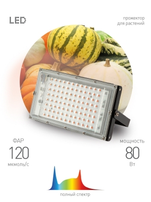 Светильник для растений  FITO-80W-Ra90-LED-Y