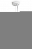 Подвесной светильник Ruler FR5555PL-L30BGG 