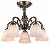 Потолочная люстра Versailles 1114/5PL Bronze 