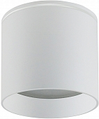 Точечный светильник  41998 