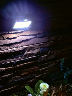 Настенный светильник уличный  USL-F-163/PT120 SENSOR