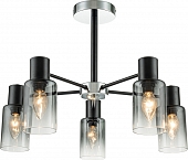 Потолочная люстра Diversity 2120/5P Black 