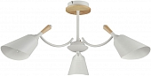 Потолочная люстра Дэла 635014703 