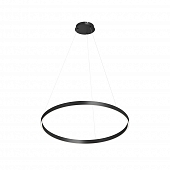 Подвесной светильник RAYDIA DK6273-BK 
