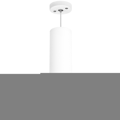 Подвесной светильник Rullo RP649680