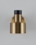 Спот Goldy V11313-1W