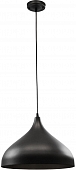 Подвесной светильник Carmel A7076SP-1BK 