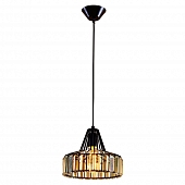 Подвесной светильник Эдисон CL450211 