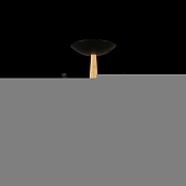 Потолочная люстра  04512-0.3-05 