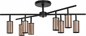 Потолочная люстра Rullo LR728308 