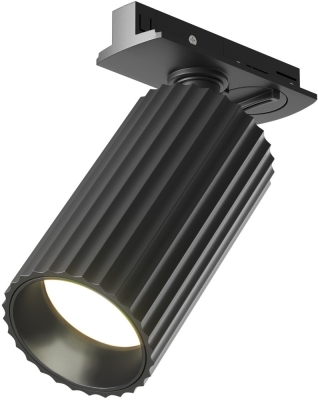 Трековый светильник Calipso TR218-1-GU10-BK