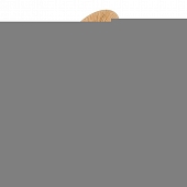 Торшер Sunflower LSP-5010 