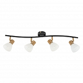 Спот Falena A3117PL-4BK 