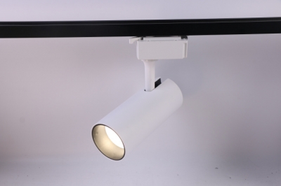 Трековый светильник  TR5-20 COB WH