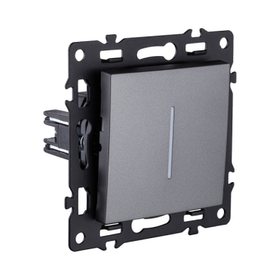 Выключатель Asthetik AS-012GY