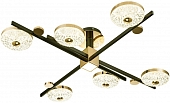 Потолочная люстра Divita 10219/6LED 