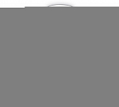 Потолочная люстра TRADITIONAL TR303291 