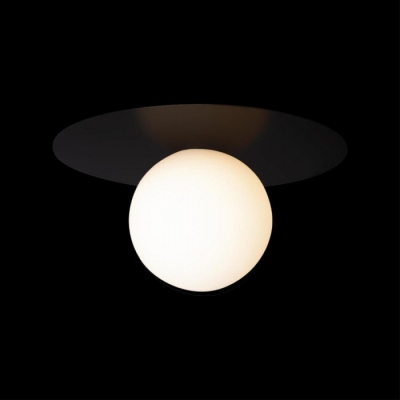Потолочный светильник Ufo 10120/250C Black