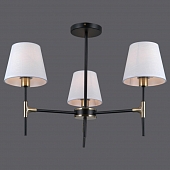 Потолочная люстра  IL0185-3CSQ-24 BK AB CASTOR 