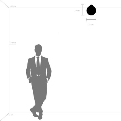 Потолочный светильник Globo 812031