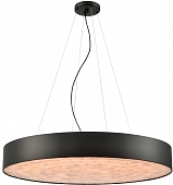 Подвесной светильник Edera WE510.02.723 