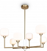 Потолочная люстра Tender FR5373CL-06BS 