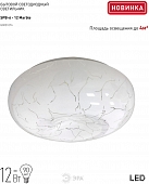 Потолочный светильник  SPB-6 - 12 Marble 