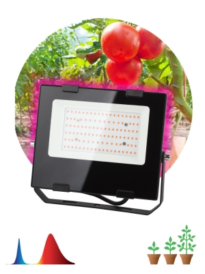 Светильник для растений  FITO-50W-RB-LED