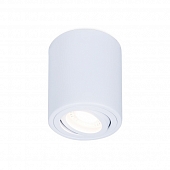 Точечный светильник Techno Spot TN225 