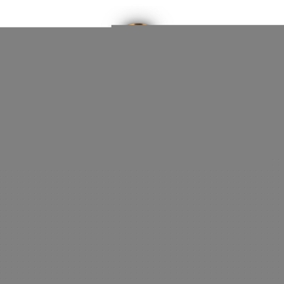 Подвесной светильник Izza FR4008PL-01BBS